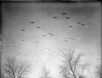 Douglas_Dakotas_fly_in_formation_over_Wavre,_Belgium.jpg