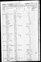 1850 census Alfred and Bynum Hollifield.jpg