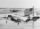 Al Midway Island.jpg