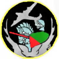 38th_bomb_squadron_emblem (1).png