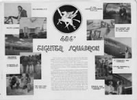 352nd Fighter Group book pg9.jpg