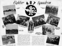 352nd Fighter Group book pg12.jpg