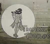  392nd "Tropical Trollop" closeup copy.jpg