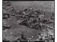 Dead Japanese Soldiers. Attu, Aleutian Islands. 29 May 1943. - Oral History.jpg