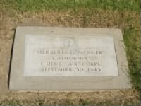 Herbert Mercer grave marker - FindAGrave