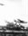 Thumbnail for Consolidated-B-24D-Liberators-attack-refineries-at-Ploesti-Romania-1-August-1943