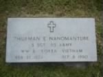Nanomantube headstone