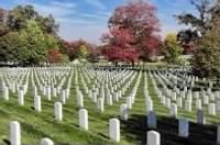 Arlington National Cemetery Headstones