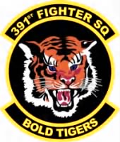 391Sst FS Emblem military graphics