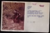 Photos - Vietnam War Marine Corps record example