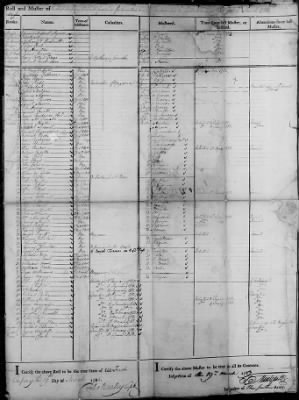 Companies of Continental Troops (1783) > 8