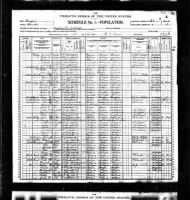 Thumbnail for 1900 Bushville District, Banks County, GA Census