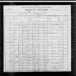 1900 US Census Record Search- Goodman