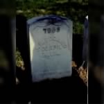 Grave Marker for John R. Bogard