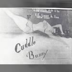 321stBG,445thBS, Loss of the CUDDLE BUNNY #43-27792 18 Sept. 1944