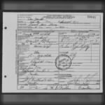 Sarah Jane Perry death certificate
