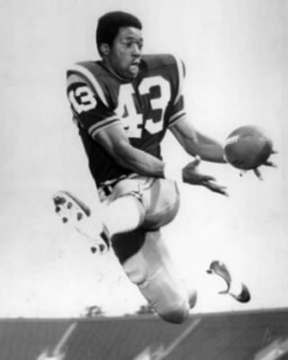 darryl stingley