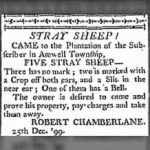 Robert Chamberlin 1800 Stray Sheep Notice.JPG