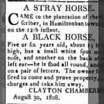 Clayton Chamberlin 1808 Stray Horse Notice2.JPG