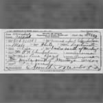 Wallace Lloyd Chamberlain 1908 TX Birth Cert.JPG
