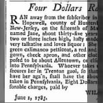 Wilson Stout 1785 Runaway Slave Notice.JPG