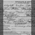 Elizabeth McBee Little 1952 TN Death Cert.jpg
