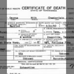 George Milton Chamberlain 1957 TN Death Cert.jpg