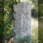 The Grave of Robert C. Nickell