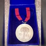Philippine Campaign Medal.png