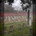 Chalmette Natl Cemetery.jpg