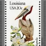 Louisiana Pelican.gif