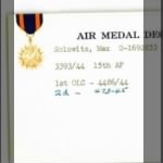 solowitz-airmedal.jpg