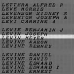 Levin, Meyer