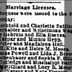 Helen M Moore 1881 to Wm. H. Kite Marr. License Notice.jpg