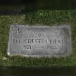 Chester P Litwin