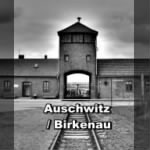 Auschwitz-Birkenau 2.jpg