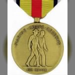 Selected Marine Corps Reserve Medal.png