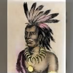 Little Turtle-Miami Indians-Chief-War-Indiana.jpg