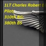 Brown, Charles Robert_Photo Sub_Air Crew Wings_Pilot.jpg
