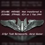 TODD Flew Combat- 321st Bomb Group (445thBS) then 310th Bomb Group (379thBS)