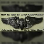 310th BG, 428th BS, B-25 Radio/Aerial Gunner, S/Sgt Richard H Palmer