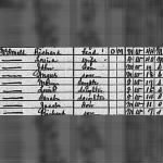 1920 Census Richard McDonald Family