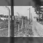 Buchenwald3.jpg