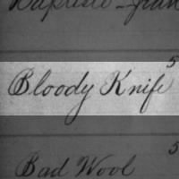 [Blank], Bloody Knife